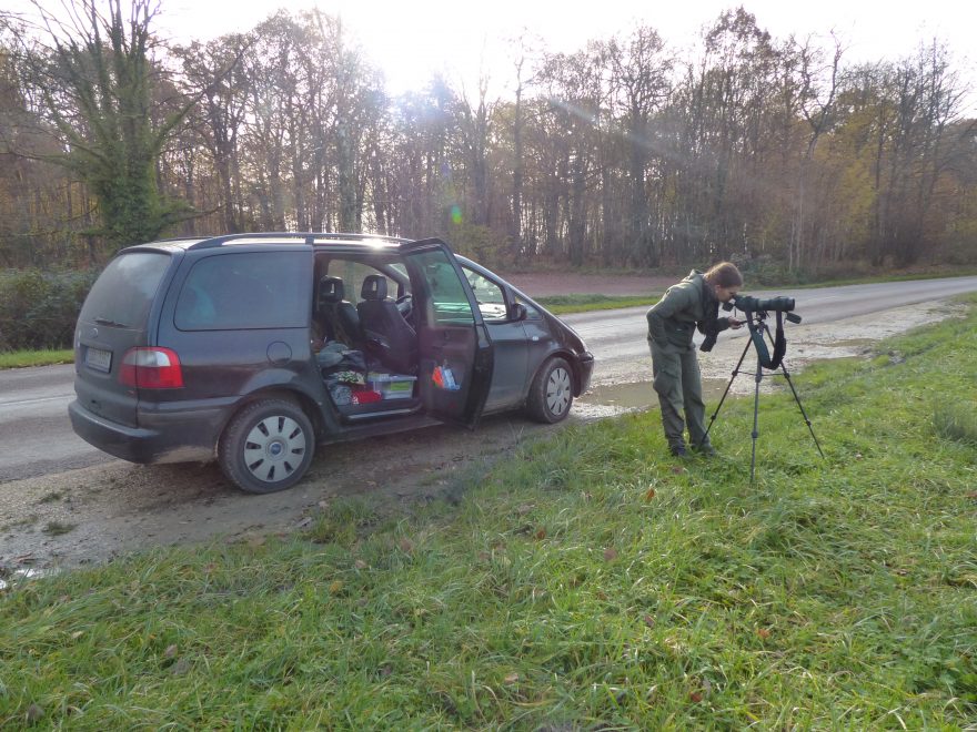 Pozorování. Foto Petr Lumpe