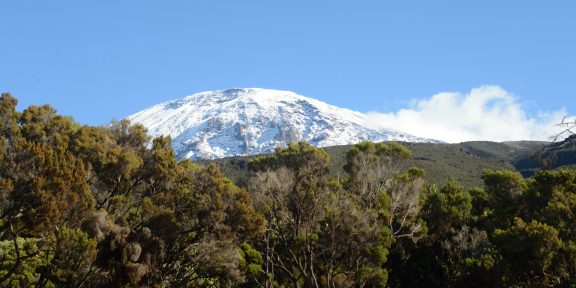 EXPEDICE: Pěšky 406 km z Diani Beach na Kilimandžáro překonáno!