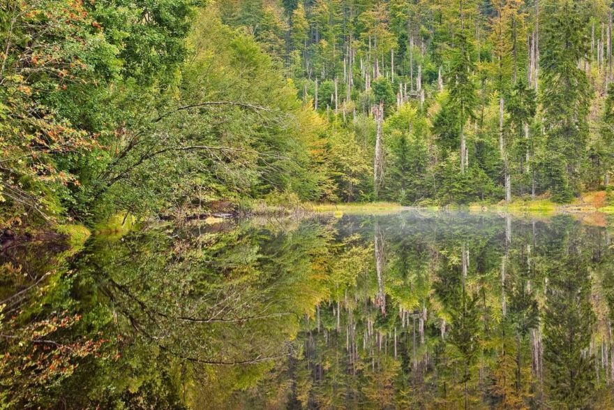 Martinsklause, chráněné území pro volně žijící živočichy, Bavorský les, Foto Deutsche Zentrale für Tourismus