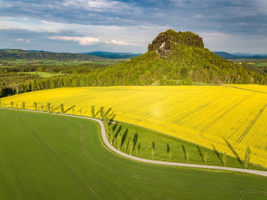 Königstein, pohled na Lilienstein v létě, Národní park Saské Švýcarsko, Sasko, Foto: Deutsche Zentrale für Tourismus