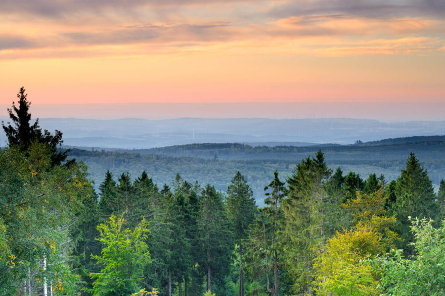 Hunsrück-Hochwald, nejmladší národní park Německa, Foto: dam.germany.travel