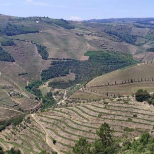 Vinice podél řeky Douro se táhnou od nevidím do nevidím, Portugalsko, Autor: Michal Kroužel