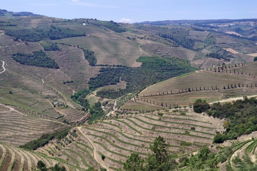 Vinice podél řeky Douro se táhnou od nevidím do nevidím, Portugalsko, Autor: Michal Kroužel