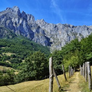 Picos de Europa