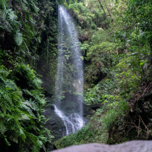 Vodopád v Bosque de los Tilos, jedné z mála rezervací mlžného vavřínového pralesa na světě