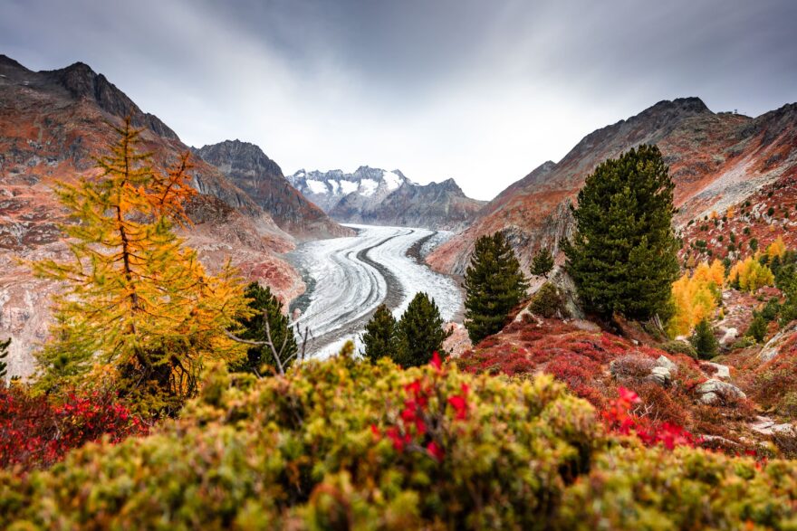 Aletschglacier. Autor: Frederic Huber