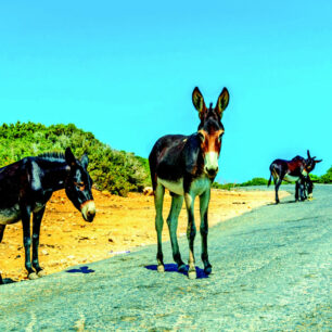 Severní Kypr, autor: Shutterstock