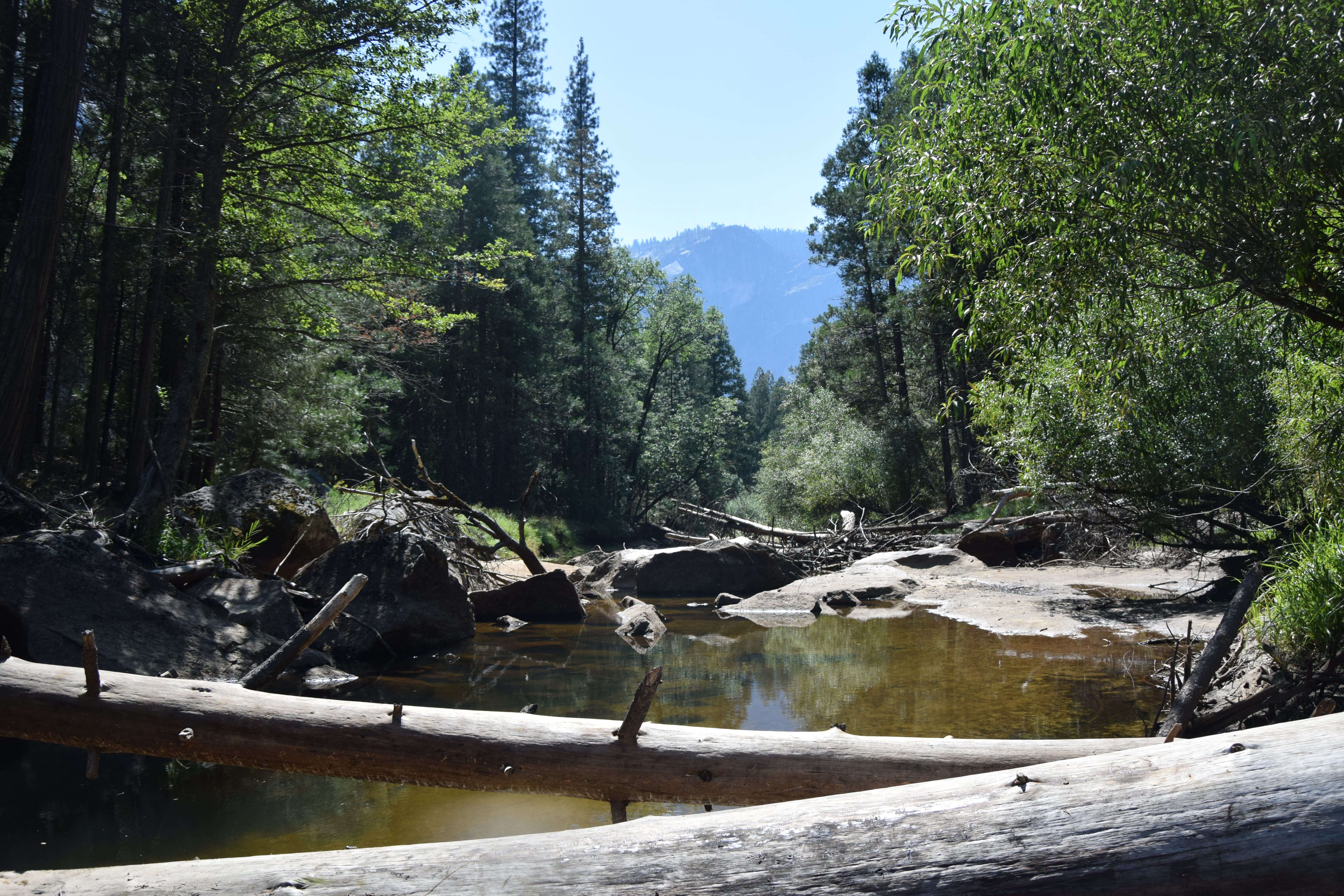 Tenaya creek