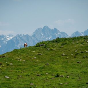 Panorama Kitzbühlských Alp