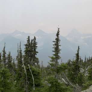 Z výstupu na Abbot Ridge, Glacier NP