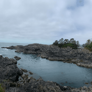 Pacific Rim NP Reserve, Vancouver Island