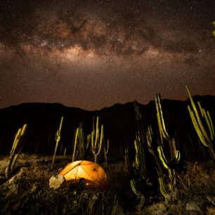 Kemp v kaktusovém lese v kaňonu Cotahuasi. Foto: Pavel Svoboda