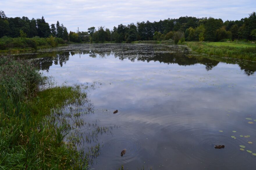 Bělověžský park nabízí řadu příležitostí k túrám v nedotčené přírodě