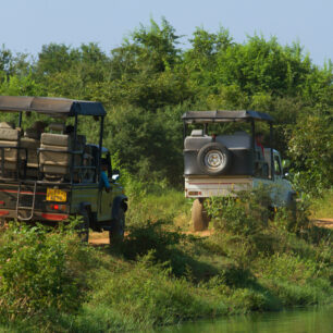 Srí Lanka. Foto: David Hainall