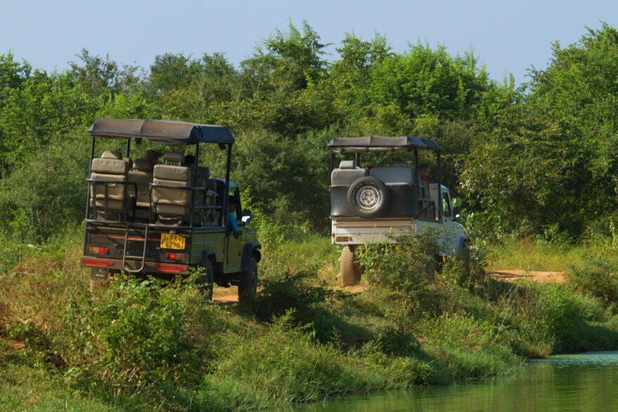 Srí Lanka. Foto: David Hainall