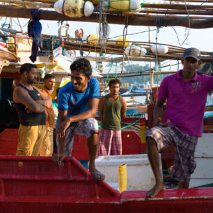 Srí Lanka. Foto: David Hainall