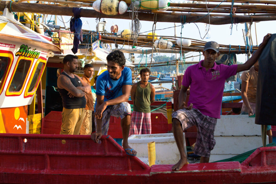 Srí Lanka. Foto: David Hainall