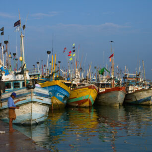 Srí Lanka. Foto: David Hainall