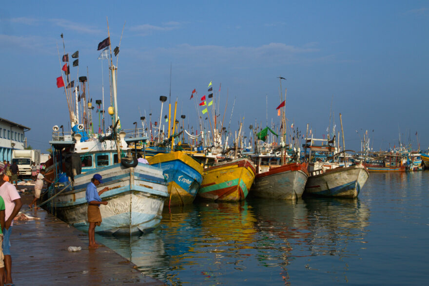 Srí Lanka. Foto: David Hainall