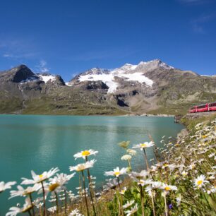 Panoramatický vlak Bernina Express u jezera Lago di Bianco. Zdroj: Rhätische Bahn