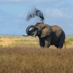 Krugerův národní park. Foto: Jan Hocek