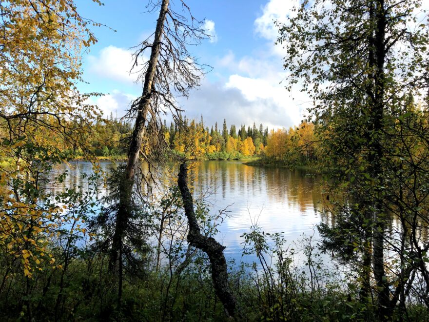 Barevné Laponsko. Foto: Petr Novotný