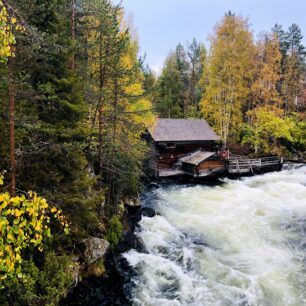 Barevné Laponsko. Foto: Petr Novotný