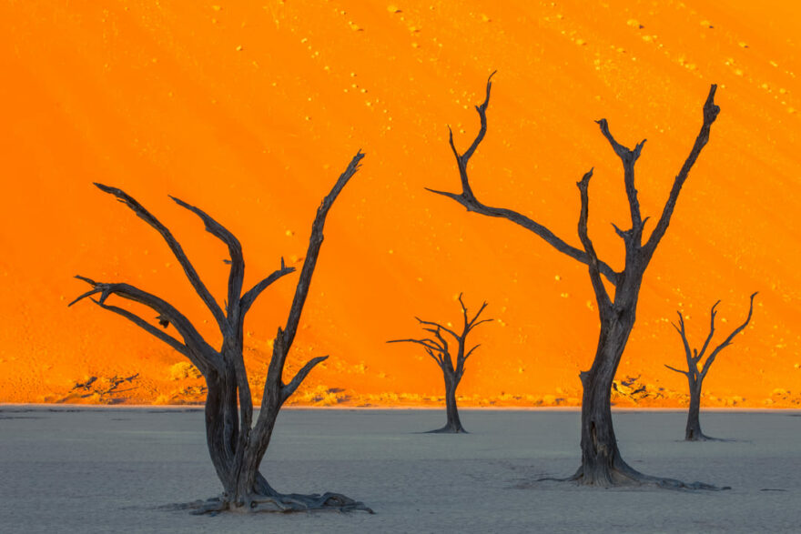Poušť Namib je krásná a děsivá. Autor: Václav Šilha