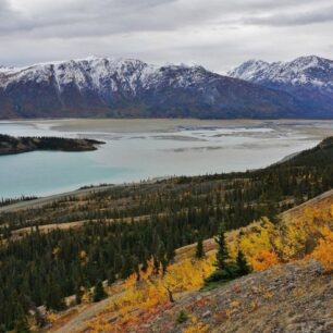 Podzimní Yukon jak vystřižený z dob Jacka Londona. Foto: Kateřina Krejčová