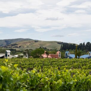 Martinborough, tyhle sklípky vypadají skoro jako na Moravě