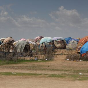 Podobných uprchlických táborů je v celém regionu Somali několik desítek