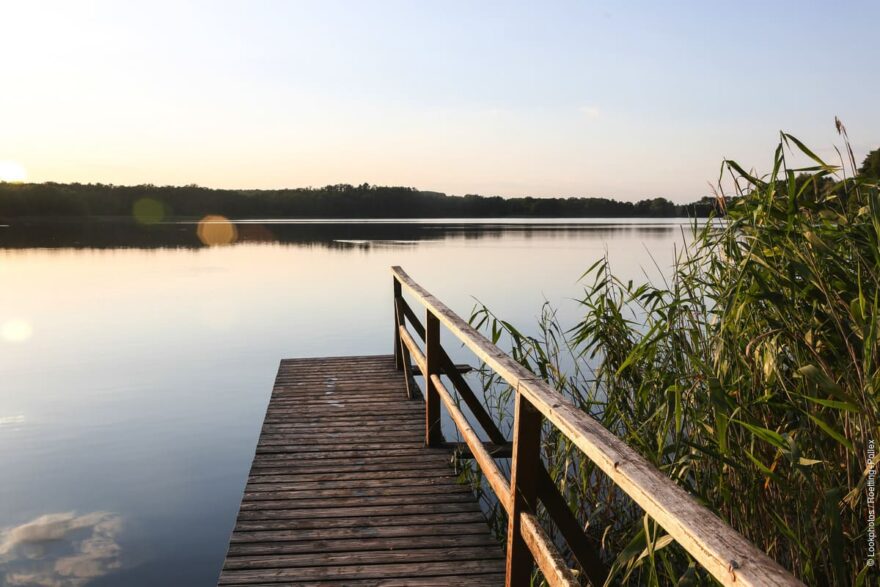 Chorin: Jezero v biosférické rezervaci Schorfheide-Chorin © Lookphotos/Roetting+Pollex