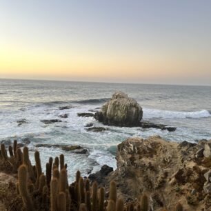 Punta de Lobos