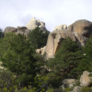 Národní park Sierra de Guadarrama: Klenot středního Španělska. Pedriza vykukující želva