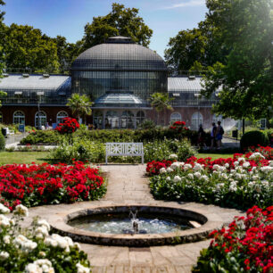 Frankfurt nad Mohanem: Botanická zahrada Palmengarten ©DZT/Christoph Boeckheler