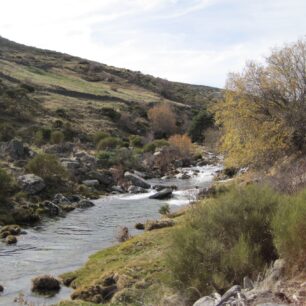 Fundación Patrimonio Natural de CyL