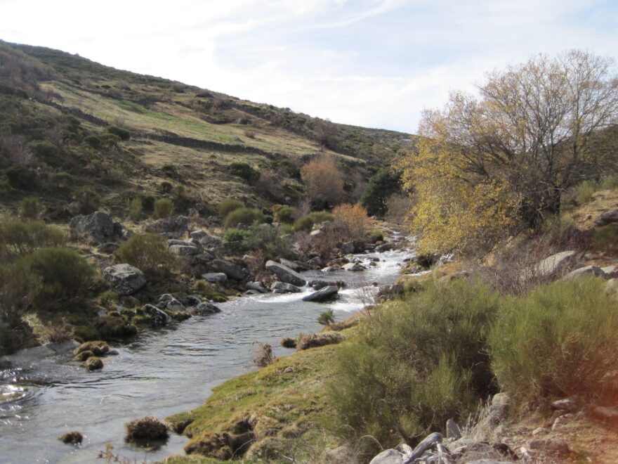 Fundación Patrimonio Natural de CyL