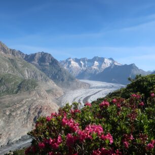 S vyhlídkou na Aletsch Gletscher: Bettmeralp – Eggishorn – Belalp