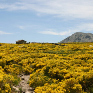 Scenérie v regionálním parku Sierra de Gredos. Foto: Fundación Patrimonio Natural de CyL