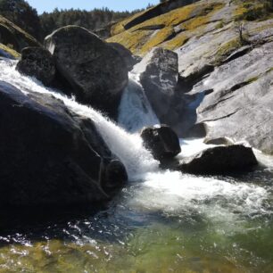 Sierra de Gredos. Foto: Fundación Patrimonio Natural de CyL