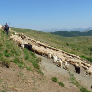 ÁZERBAJDŽÁN, srdečný Kavkaz