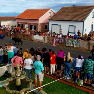 Ostrov Terceira - Touradas a Corda