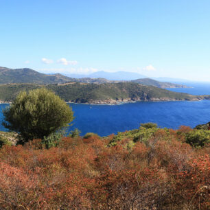 Pano plage Chiuni cargese + equestre ©Sylvain Alessandri