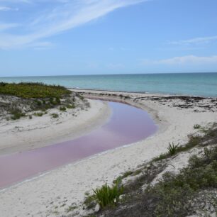 Růžové vody Las Coloradas