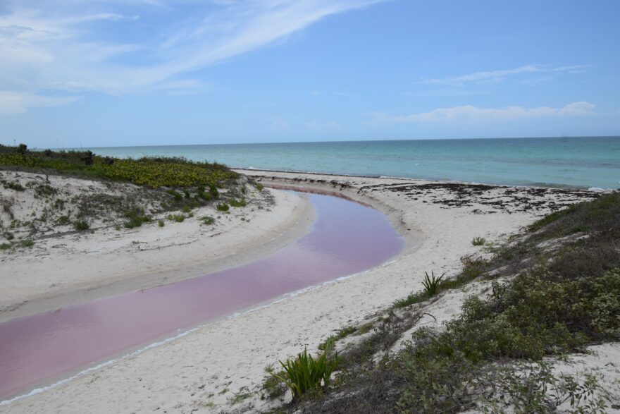 Růžové vody Las Coloradas