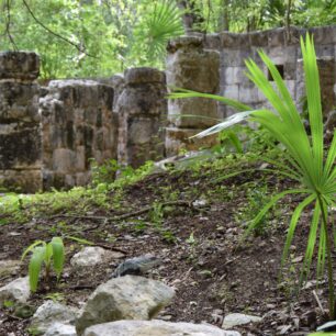 Jeden z mnoha paláců Chichén Itzá