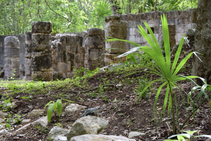 Jeden z mnoha paláců Chichén Itzá