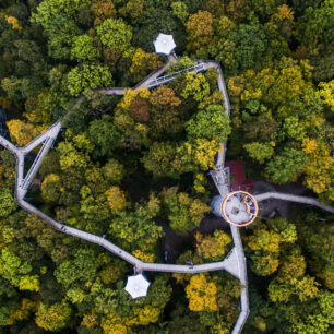 Schönstedt: Stezka v korunách stromů v parku Nationalpark Hainich © TTG