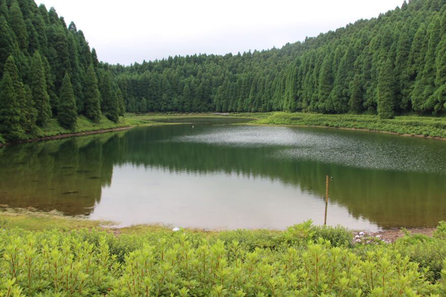 Lagoas Empadadas leží na dně zalesněné kaldery na stezce pěti jezer