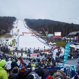 Závod Zlatá lisica. Foto: Nina Kurnik